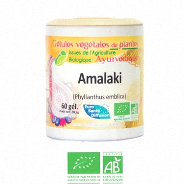 Amalaki