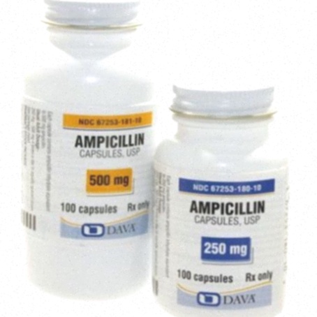 ampicillin